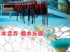 -水立方嬉水乐园
