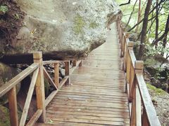 -青峰峡国家森林公园