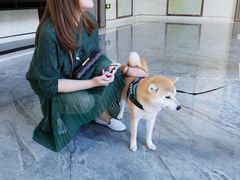 -上海崇明金茂凯悦酒店