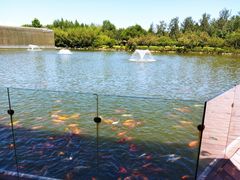 -春晖园度假酒店温泉