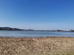 -长广溪湿地公园