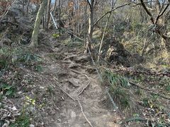 -南京老山国家森林公园