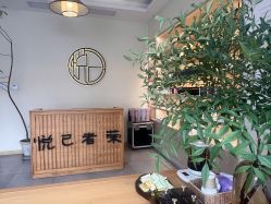 -悦己美容养生