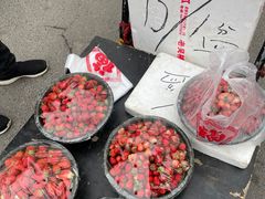 -鑫朱雀农贸批发市场