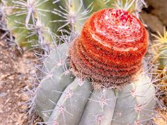 -国家植物园南园