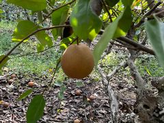 -同里国家湿地公园