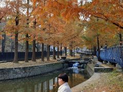 -白水寺森林公园