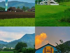 -阿露佳·舌尖上的安吉菜