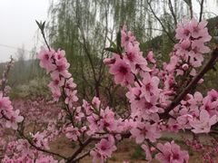 紫竹院公园-紫竹院公园冰场