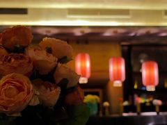 -索拉古贝(义乌北苑店)