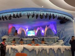 -帝企鹅自助餐厅•儿童岛•真企鹅(长隆企鹅酒店)