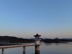 -千年银杏谷文化旅游区
