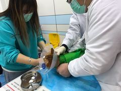 -中农国际动物医院24小时·猫科·骨科·急重症中心