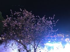 -刘姐啤酒鱼民族演艺餐厅(西街总店)
