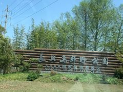 -上海长兴岛郊野公园