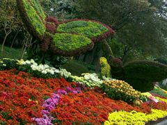 -万达影城(银兴菲林店)