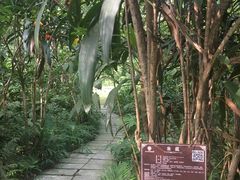 -广西壮族自治区药用植物园