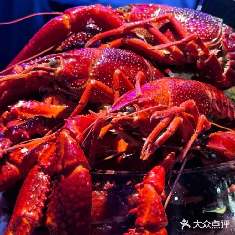 烧烤夜 美味满分