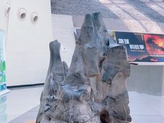 -中华赏石园