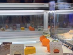 -TD66高山铁皮石斛养生茶饮