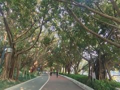 -南宁南湖公园