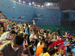 -烟台海昌鲸鲨海洋公园