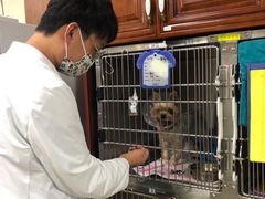 -美联众合动物医院·24h转诊中心