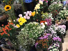 -ChaKo Flora ·茶子花艺 (市北店)