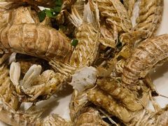 -金海湾海鲜排档(朱家尖店)