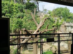 -宁波野生动物园