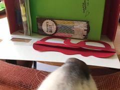 -派悦坊·甜品·蛋糕(日坛店)