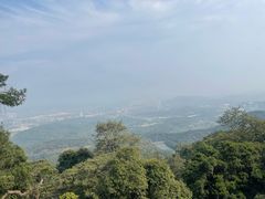 -黄埔油麻山森林公园