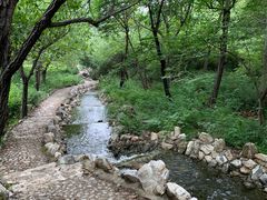 -静之湖湖畔餐厅