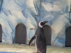 -常州海昌海洋探索馆
