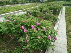 -白塘生态植物园