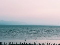 -东平洲海岸公园