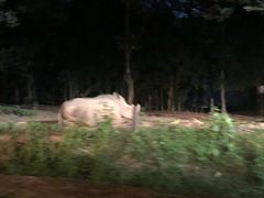 -清迈夜间动物园