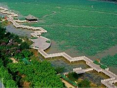 -莲湖公园