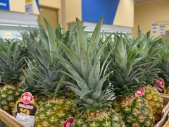 -盒马X会员店(王府井奥莱UP TOWN店)