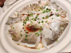 -单家老院·院子里的青岛菜(沙子口店)