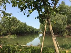 -大湾区中央湿地公园