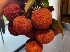 -新鸿港水果市场