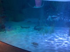 -沈阳海洋探索中心