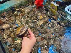 -三亚火车头万人海鲜广场