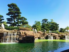 -帝企鹅自助餐厅•儿童岛•真企鹅(长隆企鹅酒店)