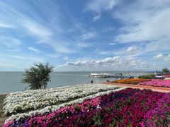 -呼伦湖旅游景区