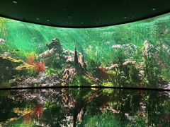 -中国湿地博物馆