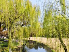 -柳浪闻莺公园