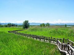 -野鸭湖国家湿地公园