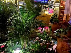 -润园四季椰子鸡火锅(海上世界店)